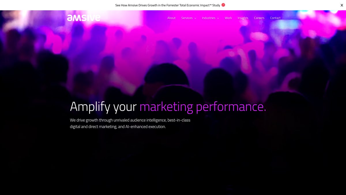 Homepage screenshot of Amsive, a US performance marketing agency