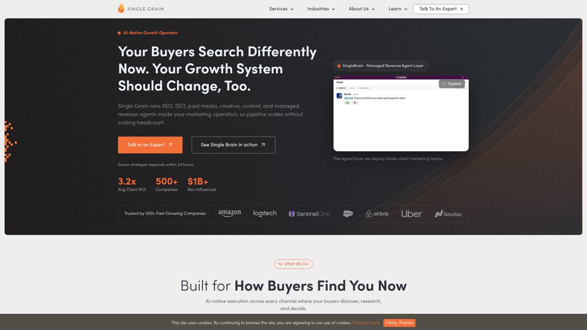Homepage screenshot of Single Grain, an AI-native growth agency